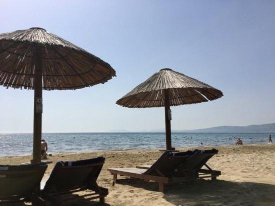 סכיניאס Seaside Glow מראה חיצוני תמונה