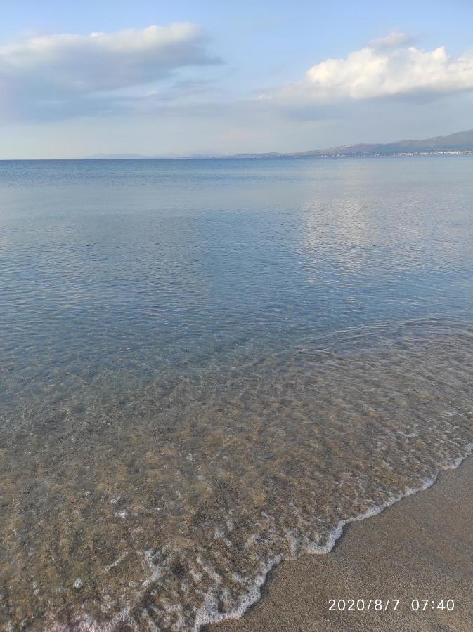 סכיניאס Seaside Glow מראה חיצוני תמונה